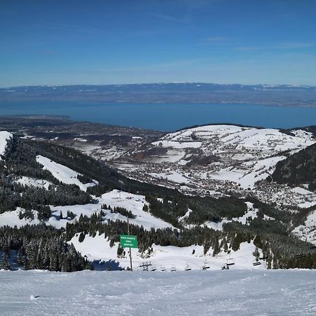Appartement T2 A Bernex Avec Wifi, Vue Sur Montagne 外观 照片
