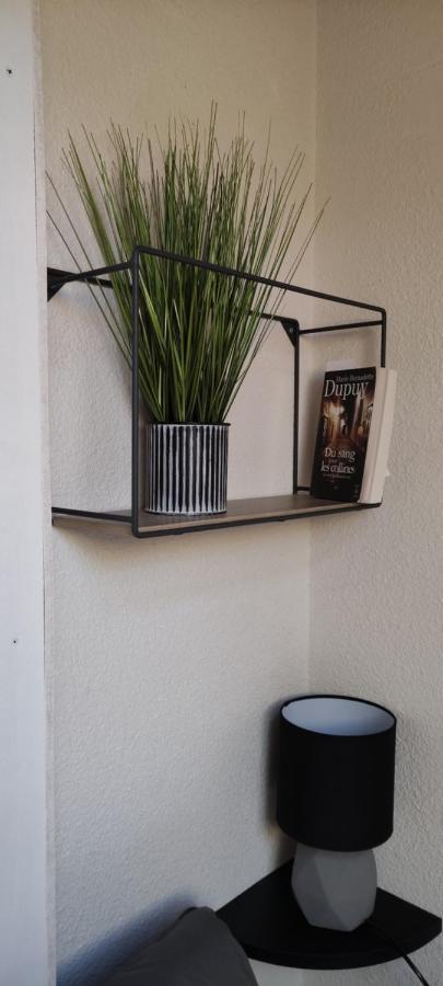 Appartement T2 A Bernex Avec Wifi, Vue Sur Montagne 外观 照片
