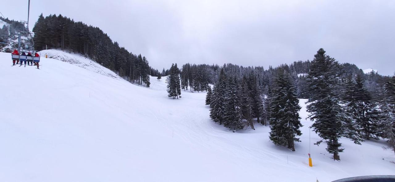 Appartement T2 A Bernex Avec Wifi, Vue Sur Montagne 外观 照片